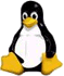 PLATAFORMA LINUX